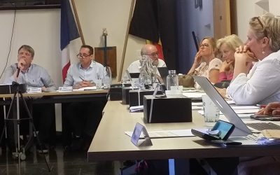 Conseil Communal du 29 décembre 2020