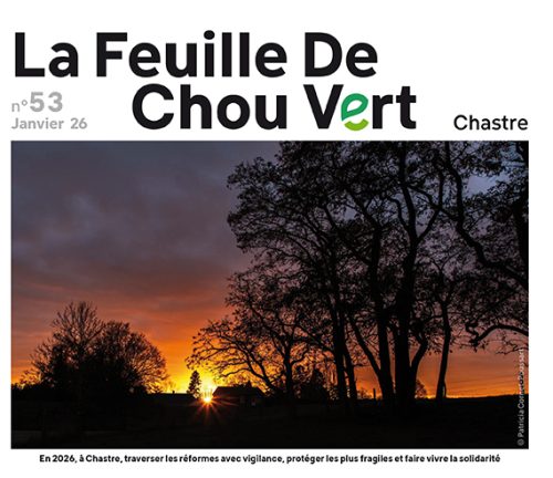 Feuille de chou vert 53