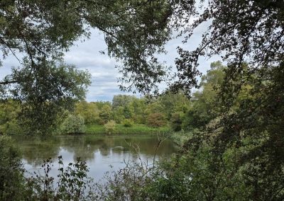 Une vue de la réserve