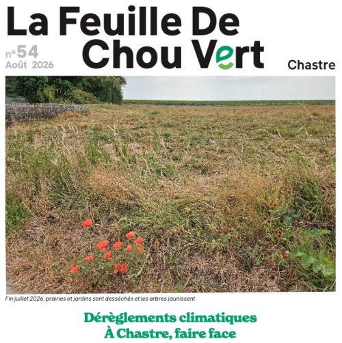 FDCV 54
