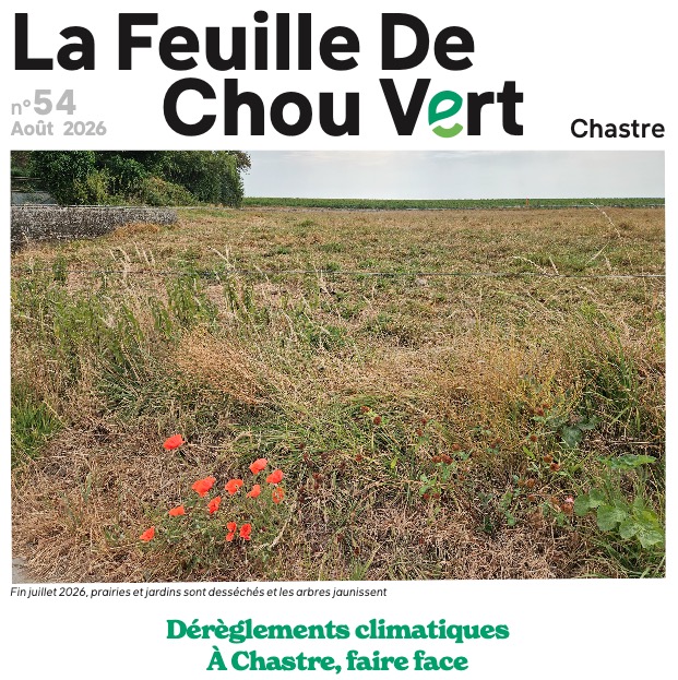 FDCV 54